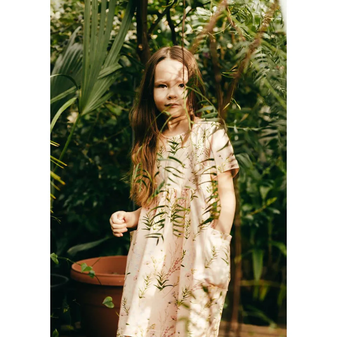 Timjami-Taskumekko Roosa