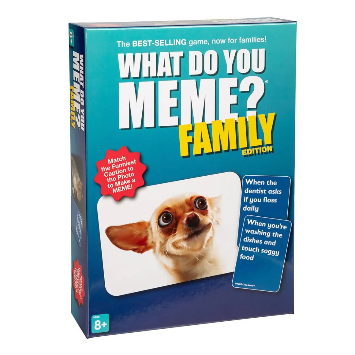 What Do You Meme Family (English)
